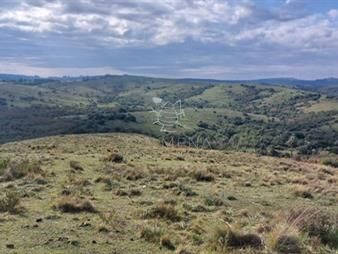 https://www.gallito.com.uy/campo-de-80-has-en-paraje-carape-con-costa-de-inmuebles-23926964