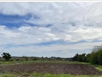 https://www.gallito.com.uy/campo-en-venta-paso-de-la-arena-inmuebles-27007797
