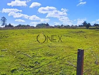 https://www.gallito.com.uy/venta-de-chacra-en-canelon-chico-inmuebles-27374764
