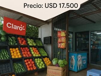 https://web5.gallito.com.uy/se-vende-llave-de-kiosko-paso-de-las-duranas-inmuebles-27374367