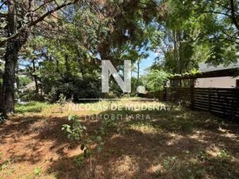 https://web5.gallito.com.uy/vende-terreno-en-lugano-punta-del-este-inmuebles-27002431
