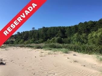 https://www.gallito.com.uy/chacra-paraje-arazati-inmuebles-27156298
