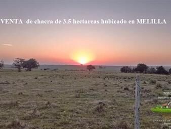 https://web5.gallito.com.uy/venta-de-chacra-de-34-hectareas-en-melilla-inmuebles-26852329