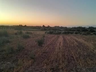 https://web5.gallito.com.uy/venta-de-campo-4-y-un-cuarto-de-hectareas-en-de-inmuebles-27032106