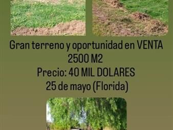 https://web5.gallito.com.uy/venta-de-terreno-en-25-de-mayo-florida-inmuebles-27162233