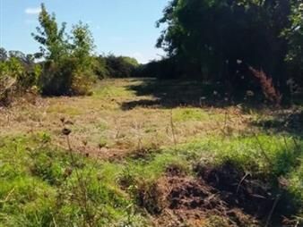 https://web5.gallito.com.uy/venta-de-terreno-en-25-de-mayo-florida-inmuebles-27162140