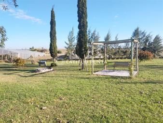 https://www.gallito.com.uy/chacra-en-san-jacinto-inmuebles-27392389