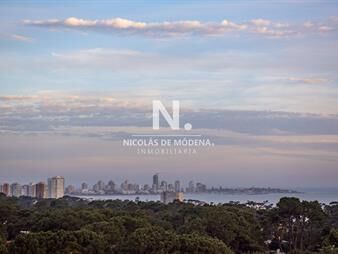 https://web5.gallito.com.uy/vende-apartamento-de-3-dormitorios-en-roosevelt-inmuebles-25997965
