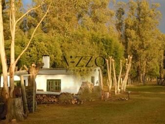 https://web5.gallito.com.uy/chacra-en-venta-ubicada-a-2-km-de-la-ciudad-de-inmuebles-26636171