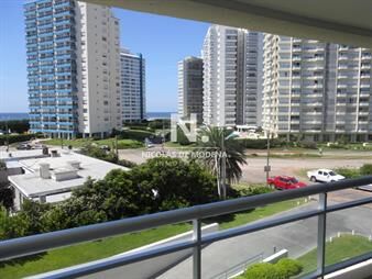 https://web5.gallito.com.uy/the-forest-punta-del-este-inmuebles-25036422