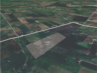https://web5.gallito.com.uy/venta-de-campo-22-hectareas-los-cerrillos-inmuebles-27401833