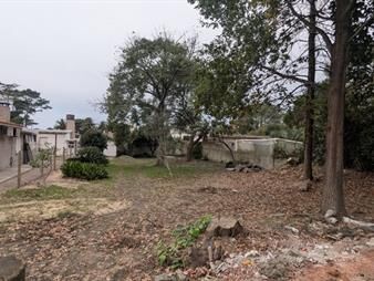 https://www.gallito.com.uy/venta-de-terreno-en-san-rafael-a-600-mts-de-la-inmuebles-27356381