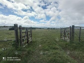 https://www.gallito.com.uy/venta-de-campo-maldonadocampo-de-41-hectareas-inmuebles-25535857