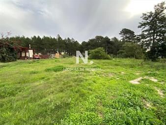 https://web5.gallito.com.uy/impecable-terreno-en-piedras-del-chileno-inmuebles-23962332