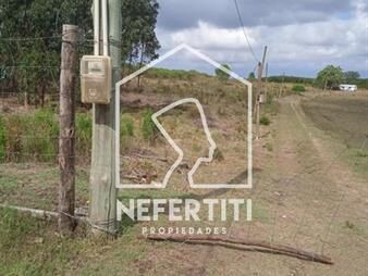 https://www.gallito.com.uy/chacra-de-3-hectareas-en-rincon-de-pando-inmuebles-24614574