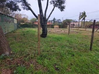 https://web5.gallito.com.uy/venta-terreno-450m2-usd-55000-parque-del-plata-sur-inmuebles-25155291