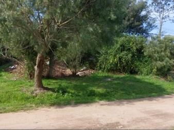https://www.gallito.com.uy/venta-terreno-marindia-norte-inmuebles-26130077