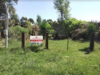https://www.gallito.com.uy/venta-terreno-san-luis-350m2-usd-22000-inmuebles-26522756