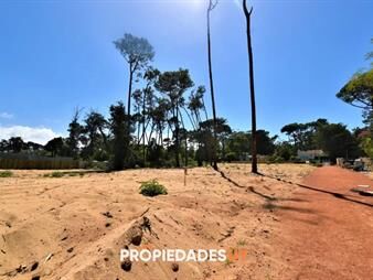 https://web5.gallito.com.uy/terreno-en-venta-5200-mts2-excelente-zona-inmuebles-25013776