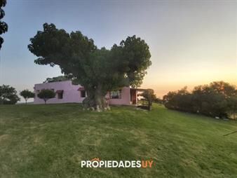 https://www.gallito.com.uy/venta-de-establecimiento-de-266-has-en-paraje-de-inmuebles-24008208