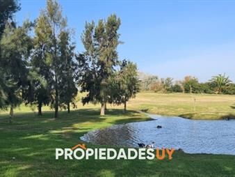 https://web5.gallito.com.uy/chacra-en-colonia-32-has-inmuebles-23900133