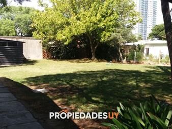 https://web5.gallito.com.uy/terreno-para-edificio-de-4-plantas-inmuebles-21832062