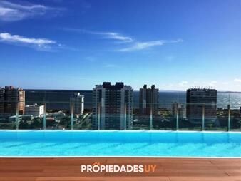 https://web5.gallito.com.uy/playa-brava-inmuebles-23343788