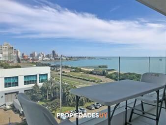 https://web5.gallito.com.uy/apartamento-con-vista-al-mar-en-frente-a-conrad-inmuebles-26114665