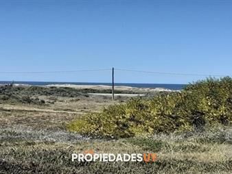 https://web5.gallito.com.uy/terreno-proximo-al-mar-en-balneario-buenos-aires-inmuebles-26363859