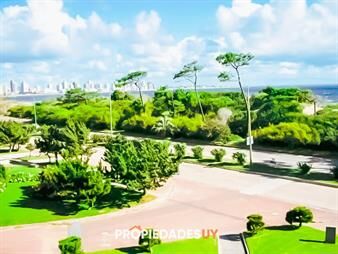https://web5.gallito.com.uy/apartamento-en-alquiler-2-dormitorios-inmuebles-25934812