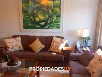 https://web5.gallito.com.uy/venta-apartamento-a-nuevo-3-dormitorios-punta-inmuebles-25820300