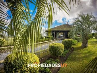 https://web5.gallito.com.uy/lote-en-venta-en-el-quijote-5000-mts2-inmuebles-25535619