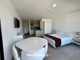 https://www.gallito.com.uy/monoambiente-en-alquiler-anual-inmuebles-26177239