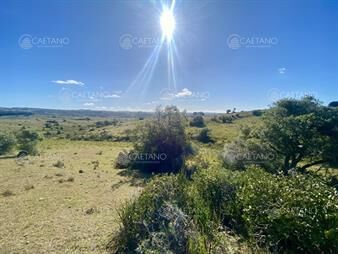 https://www.gallito.com.uy/venta-chacra-5-hectareas-camino-del-olivo-inmuebles-25764193