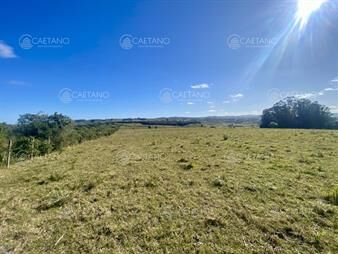 https://web5.gallito.com.uy/venta-chacra-5-hectareas-pueblo-eden-inmuebles-25764253