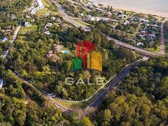 https://www.gallito.com.uy/oportunidad-terrenos-en-el-lomo-de-la-ballena-inmuebles-23409215