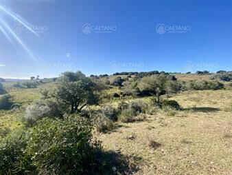 https://www.gallito.com.uy/venta-chacra-5-hectareas-maldonado-inmuebles-25764221