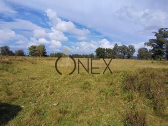 https://web5.gallito.com.uy/venta-de-chacra-7-hectareas-con-casa-en-inmuebles-27306995