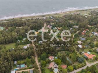 https://www.gallito.com.uy/terreno-en-venta-a-dos-cuadras-mar-bella-vista-inmuebles-27410042