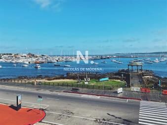https://web5.gallito.com.uy/vendo-apto-3-dorm-con-excelente-vista-inmuebles-25036545