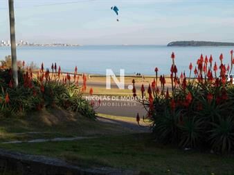 https://www.gallito.com.uy/importante-casa-en-venta-frente-a-playa-mansa-inmuebles-25038070