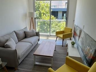 https://web5.gallito.com.uy/apartamento-2-dormitorios-en-venta-en-barrio-sur-inmuebles-24384271