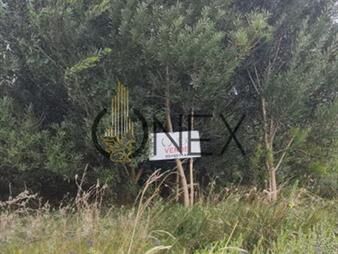 https://www.gallito.com.uy/se-vende-excelente-terreno-en-pinamar-norte-a-150-inmuebles-27406902