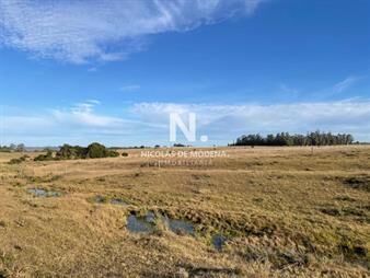 https://www.gallito.com.uy/disfrute-de-la-tranquilidad-rodeado-de-paisaje-inmuebles-24988093