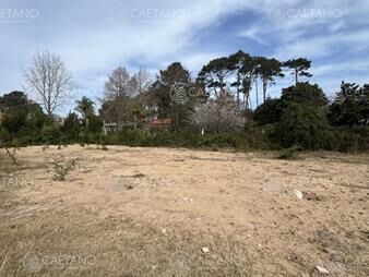 https://web5.gallito.com.uy/venta-espectacular-terreno-marly-punta-del-este-inmuebles-25928333