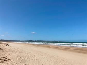 https://web5.gallito.com.uy/venta-terreno-tio-tom-punta-ballena-maldonado-inmuebles-26881842