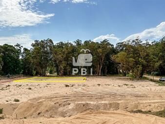 https://web5.gallito.com.uy/venta-terreno-a-pasos-del-mar-sauce-de-ref-inmuebles-27426518