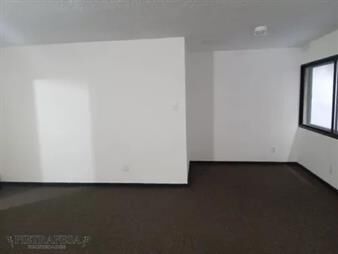 https://web5.gallito.com.uy/oficina-en-alquiler-1baño-ciudad-vieja-inmuebles-27074463