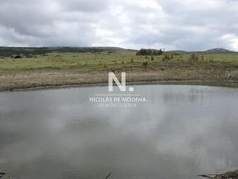 https://web5.gallito.com.uy/chacra-de-5-has-proxima-a-abra-de-perdomo-inmuebles-24995697