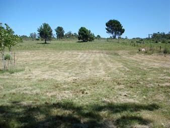 https://web5.gallito.com.uy/oportunidad-bajã³-de-precio-con-casita-a-inmuebles-27433912